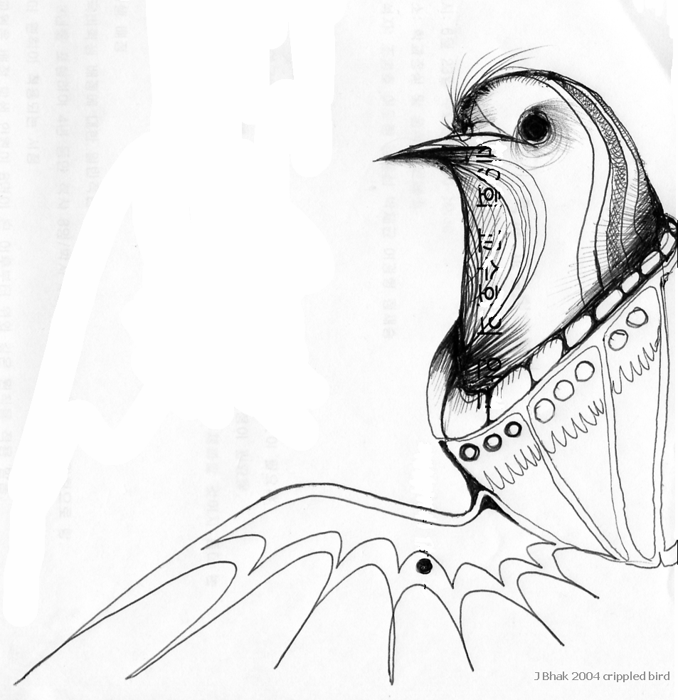 Bird1_20050226_compact.png